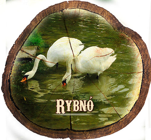 Magnes drewniany pieniek Rybno