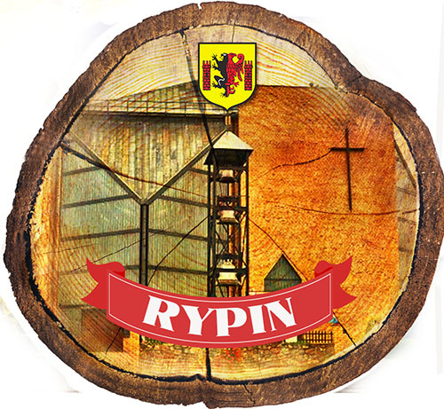 Magnes drewniany pieniek Rypin