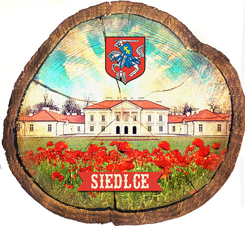 Magnes drewniany pieniek Siedlce