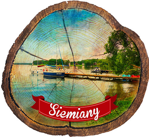 Magnes drewniany pieniek Siemiany