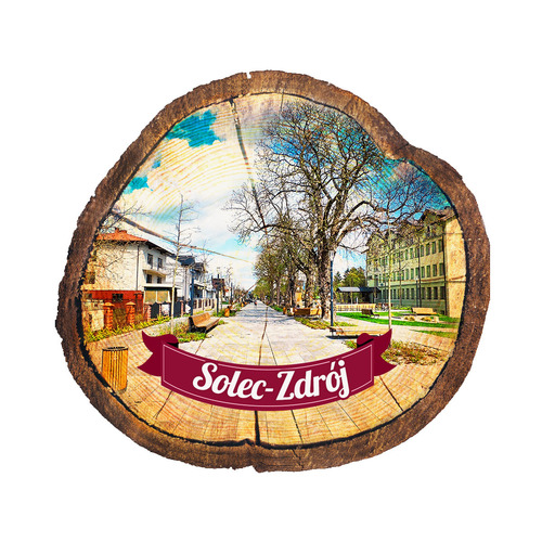 Magnes drewniany pieniek Solec-Zdrój