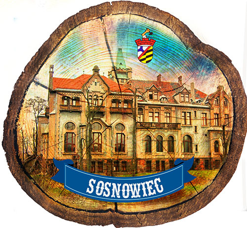 Magnes drewniany pieniek Sosnowiec