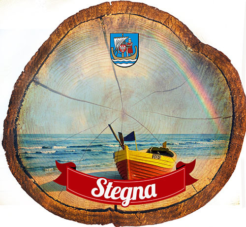 Magnes drewniany pieniek Stegna