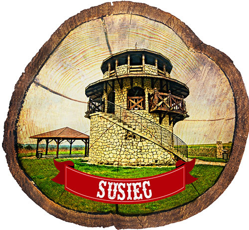 Magnes drewniany pieniek Susiec