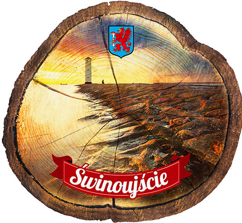 Magnes drewniany pieniek Świnoujście