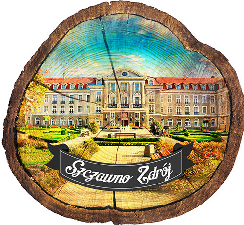 Magnes drewniany pieniek Szczawno-Zdrój