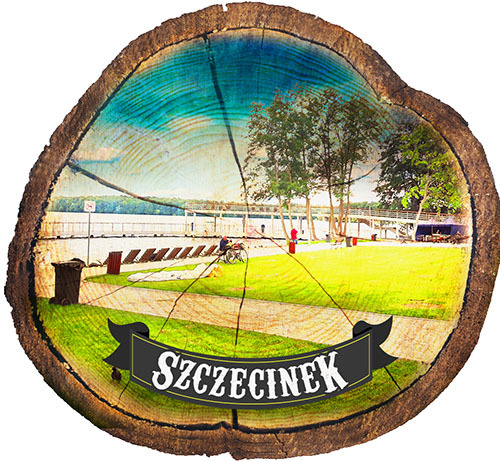 Magnes drewniany pieniek Szczecinek