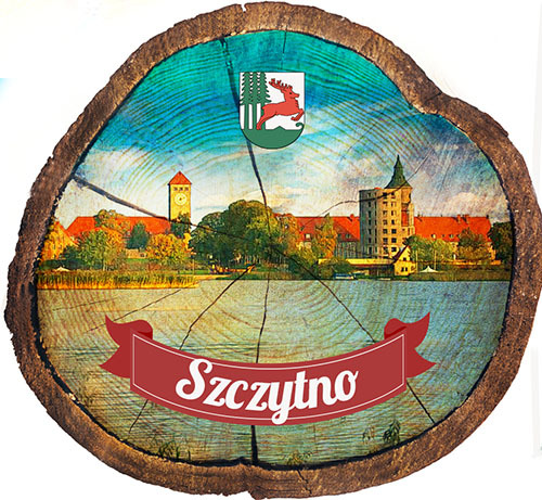 Magnes drewniany pieniek Szczytno