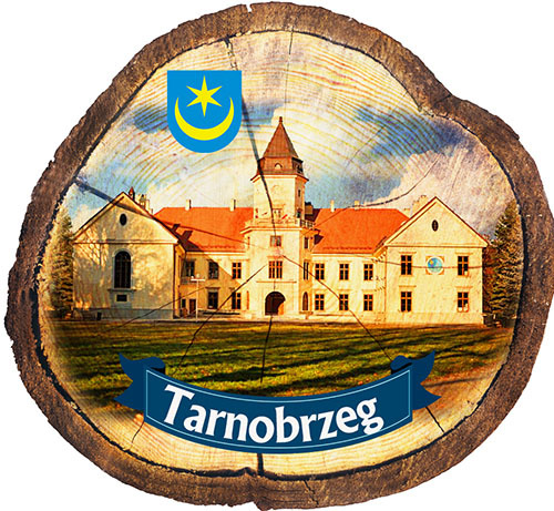 Magnes drewniany pieniek Tarnobrzeg