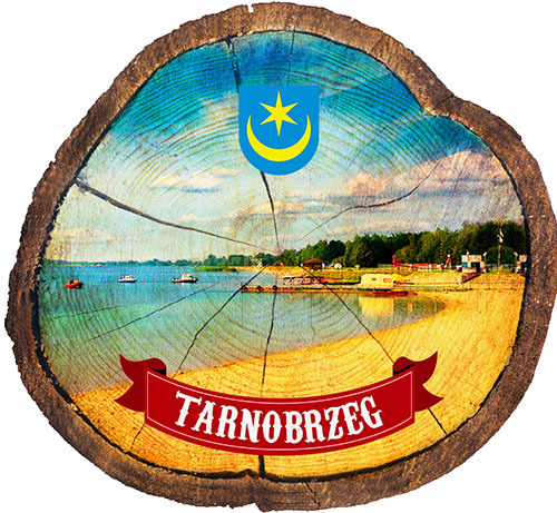 Magnes drewniany pieniek Tarnobrzeg