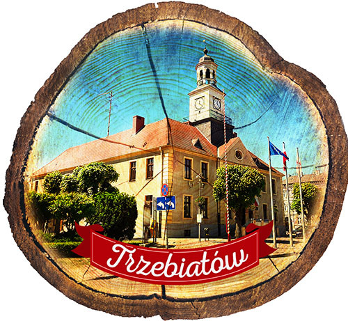 Magnes drewniany pieniek Trzebiatów