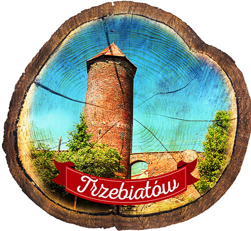 Magnes drewniany pieniek Trzebiatów