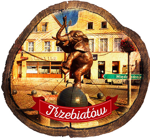 Magnes drewniany pieniek Trzebiatów