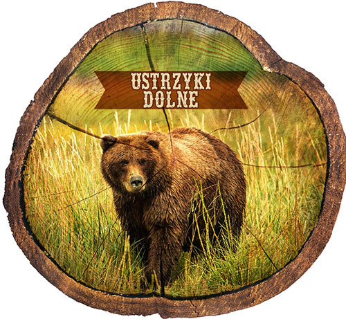 Magnes drewniany pieniek Ustrzyki Dolne