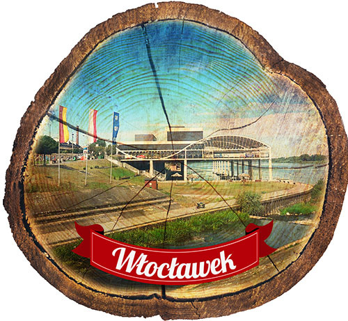 Magnes drewniany pieniek Włocławek