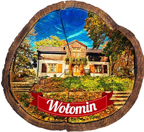 Magnes drewniany pieniek Wołomin
