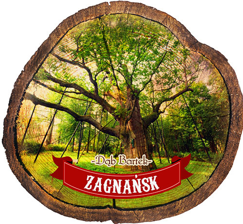 Magnes drewniany pieniek Zagnańsk