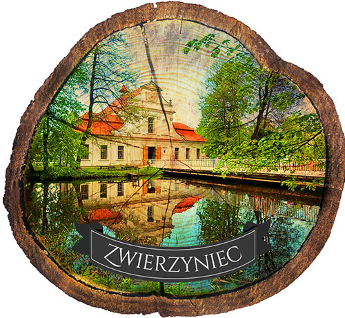 Magnes drewniany pieniek Zwierzyniec