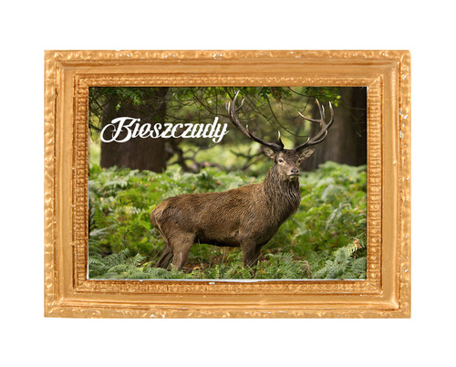 Polyresinowy magnes rama Bieszczady