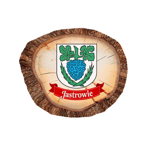 Magnes polyresinowy pieniek owal Jastrowie