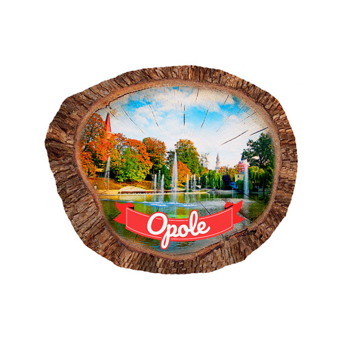 Magnes polyresinowy pieniek owal Opole