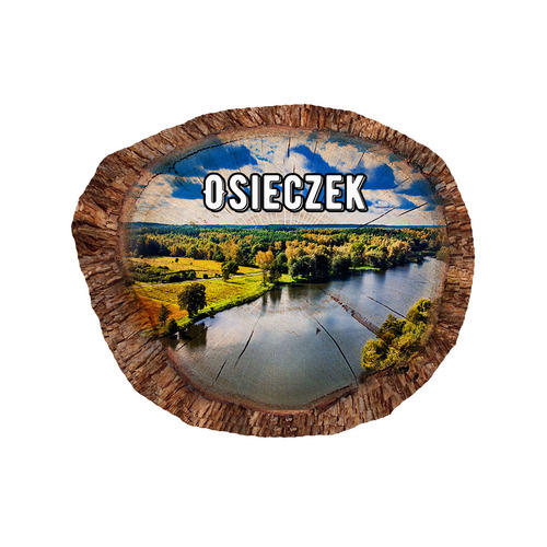 Magnes polyresinowy pieniek owal Osieczek