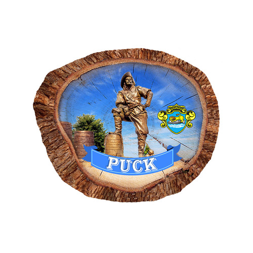 Magnes polyresinowy pieniek owal Puck