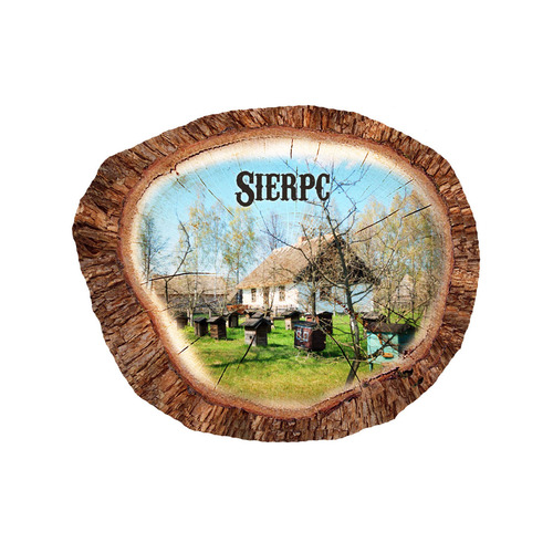 Magnes polyresinowy pieniek owal Sierpc