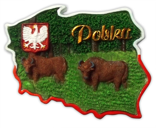 Magnes kontur Polska (żubry)