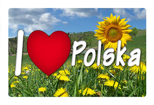 Magnes 3D Polska łąka