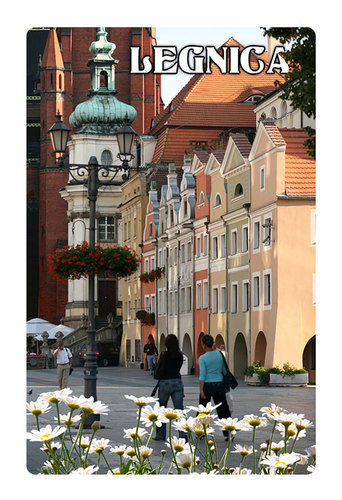 Magnes 3D Legnica