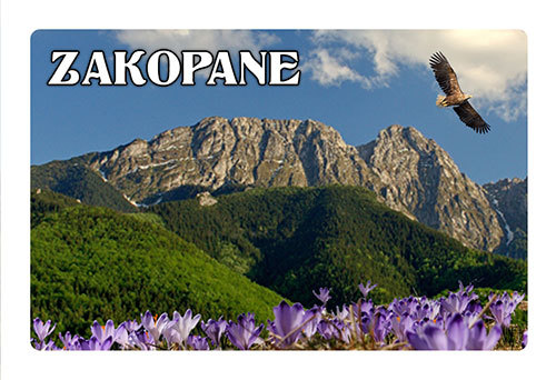 Magnes 3D Zakopane Giewont 2
