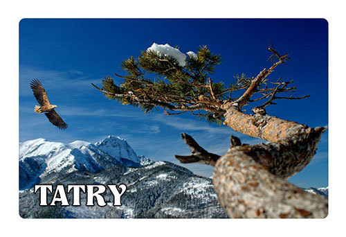 Magnes 3D Zakopane Tatry