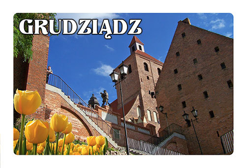 Magnes 3D Grudziądz