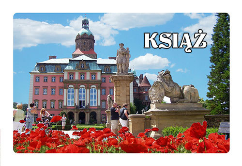 Magnes 3D Książ