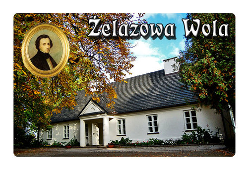 Magnes 3D Żelazowa Wola