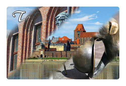 Magnes 4 w 1 Toruń
