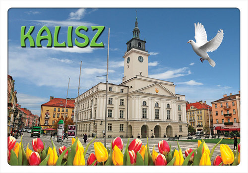 Pocztówka 3D 39 Kalisz