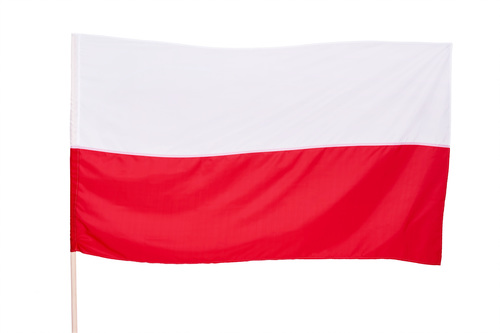Flaga państwowa duża