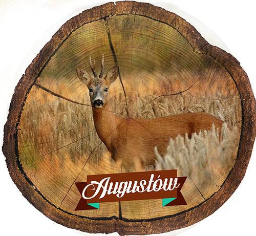 Magnes drewniany pieniek Augustów
