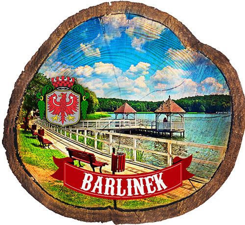 Magnes drewniany pieniek Barlinek
