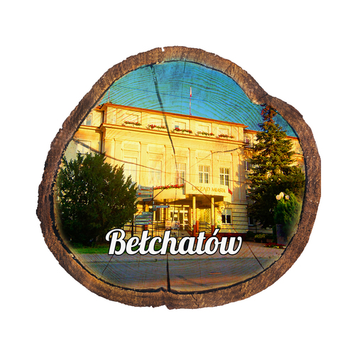 Magnes drewniany pieniek Bełchatów