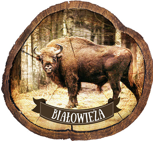 Magnes drewniany pieniek Białowieża