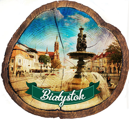 Magnes drewniany pieniek Białystok