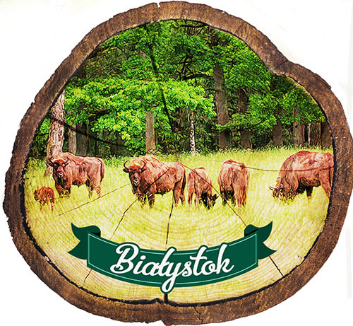 Magnes drewniany pieniek Białystok
