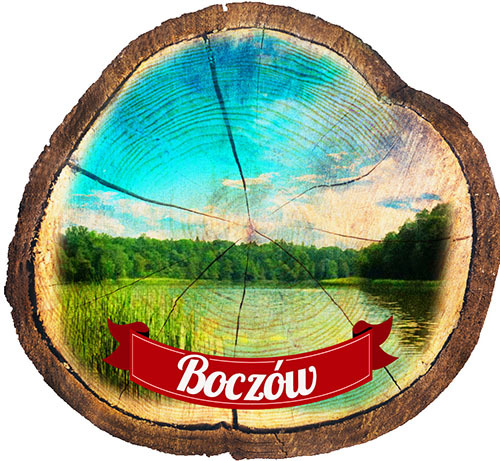 Magnes drewniany pieniek Boczów
