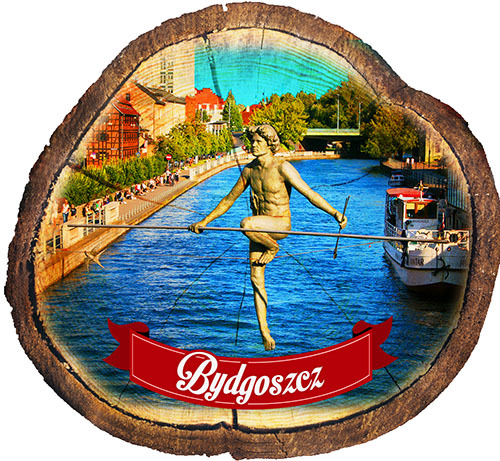 Magnes drewniany pieniek Bydgoszcz