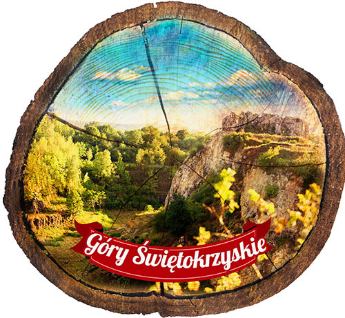 Magnes drewniany pieniek Góry Świętokrzyskie