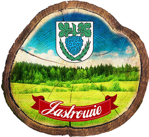Magnes drewniany pieniek Jastrowie