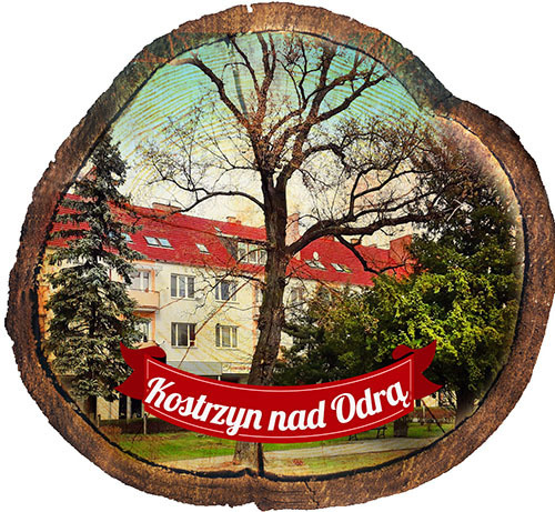 Magnes drewniany pieniek Kostrzyn nad Odrą